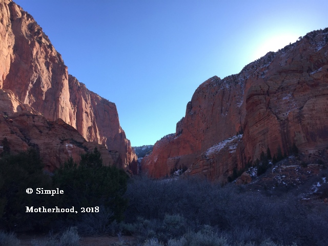 Drive through Zion National Park, Zion National Park, Utah, hikes, narrows, art, photography, with kids, winter, things to do in, pictures, vacation, #ZionNationalPark, #ZionNationalParkwithkids, #drivethroughZion, #homeschoolfieldtrips, homeschool field trips