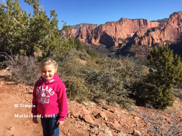 Drive through Zion National Park, Zion National Park, Utah, hikes, narrows, art, photography, with kids, winter, things to do in, pictures, vacation, #ZionNationalPark, #ZionNationalParkwithkids, #drivethroughZion, #homeschoolfieldtrips, homeschool field trips